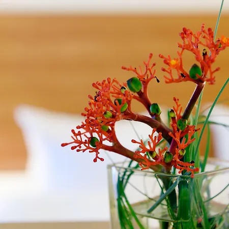 Western Parkhotel Maximilian