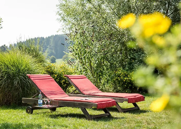 Hotell Parkhotel Maximilian 4*
