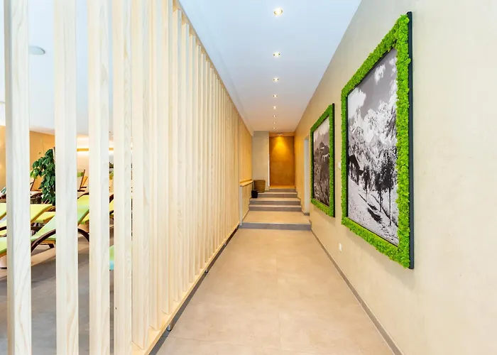 Parkhotel Maximilian Отель 4*